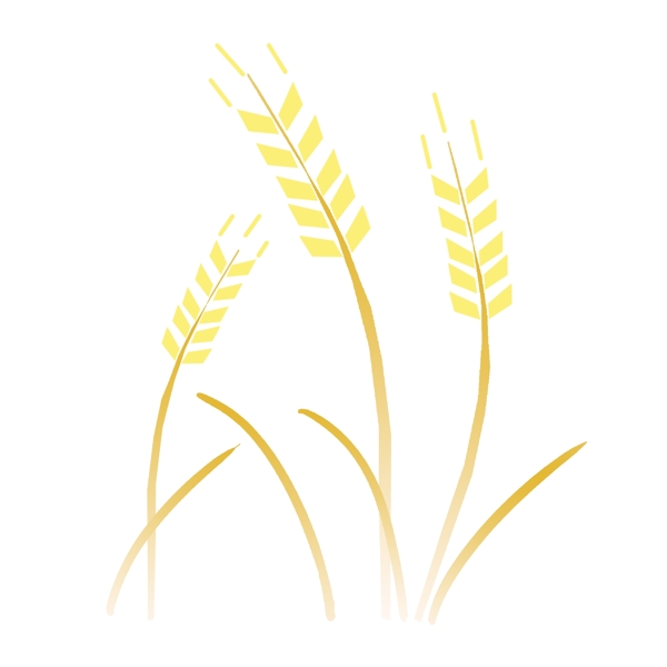 黄色麦穗图案插图