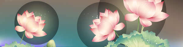 荷花banner