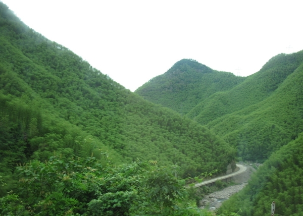 安吉竹山旅游风景图非高清图片