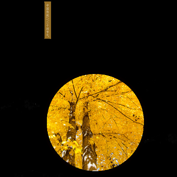 黄色树林立秋素材