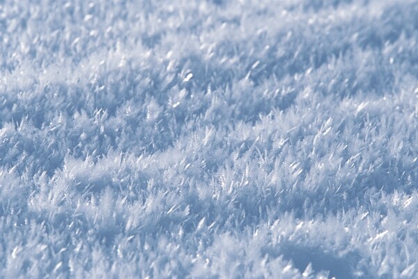 雪地特写摄影高清图片