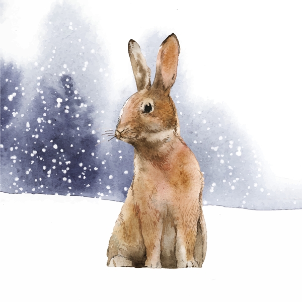 雪地里的兔子