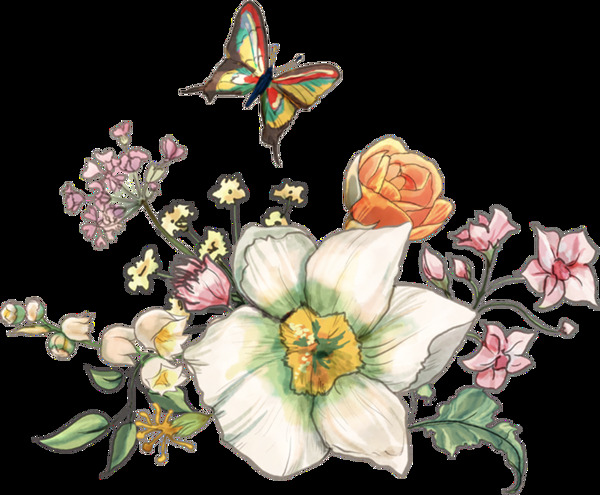 蝴蝶花卉透明装饰图案