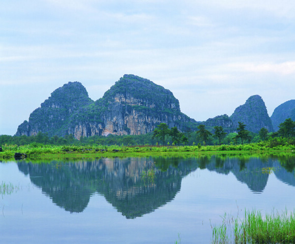 树植物水风景