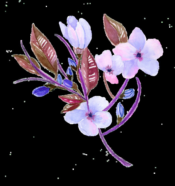 手绘梦幻花卉透明装饰图案