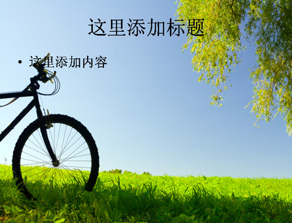 春天草地自行车