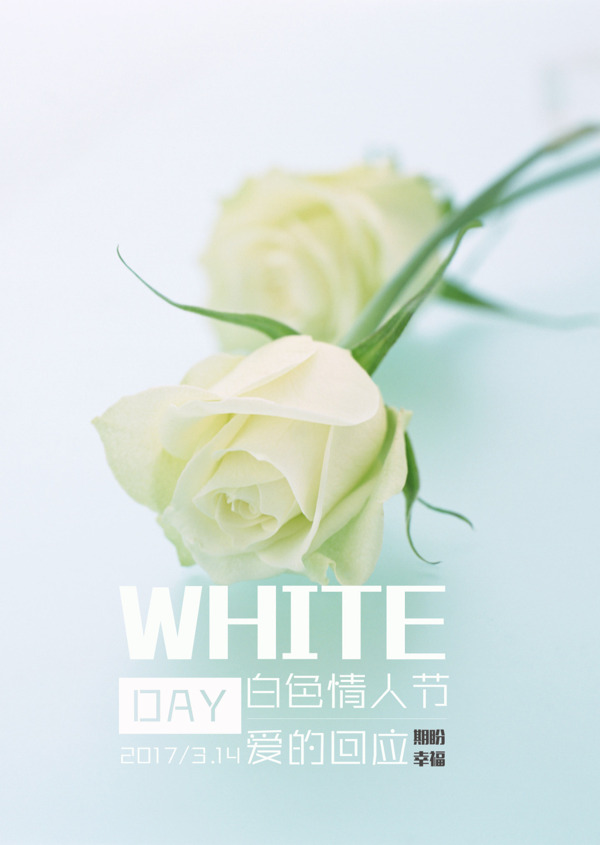 白色情人节爱的回应日