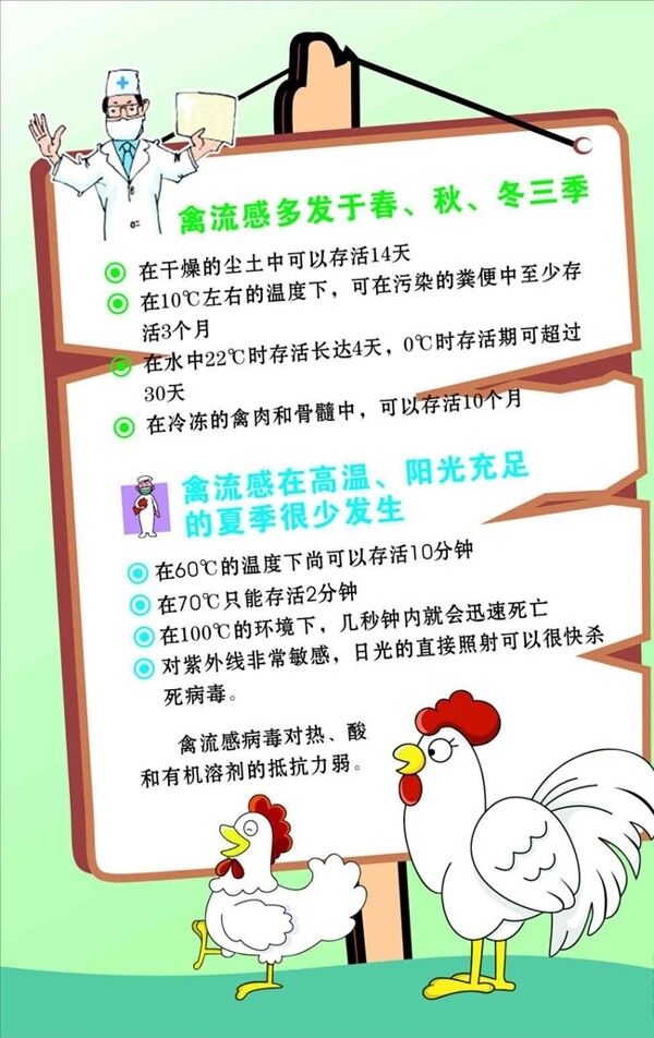 预防禽流感宣传海报宣传活动模板