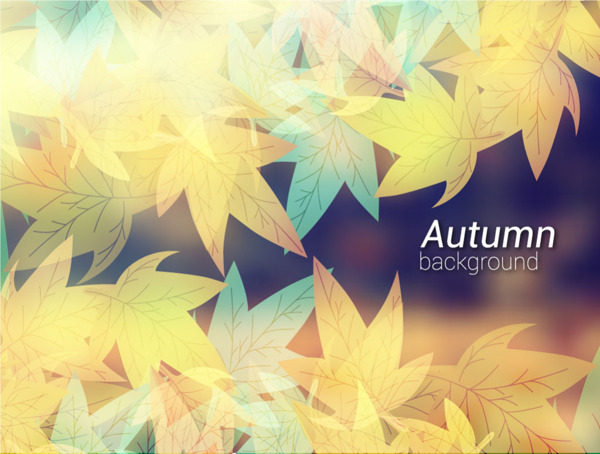 美丽的秋天树叶艺术背景矢量素材