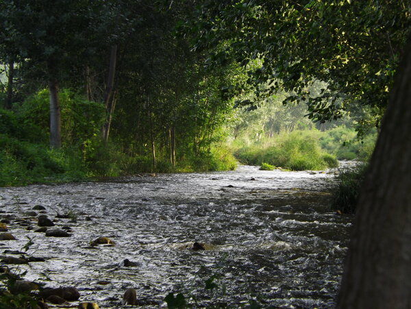 小河淌水图片