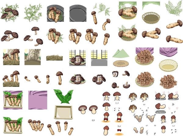蘑菇合集图片