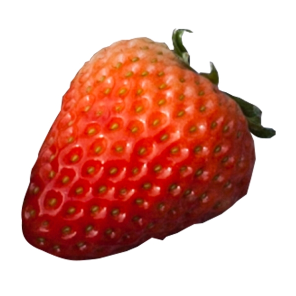 实拍种植水果草莓
