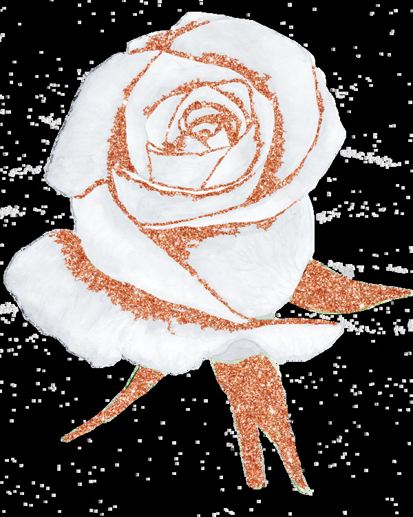 手绘一朵白玫瑰png透明素材