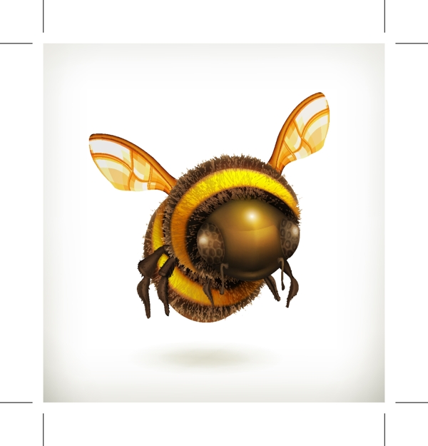 蜜蜂矢量图素材
