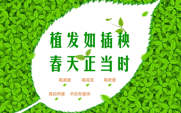 植发春天绿叶背景banner