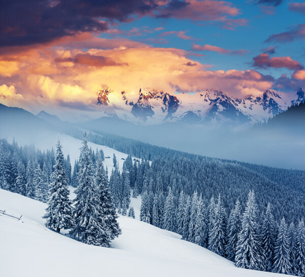 雪山树林风景