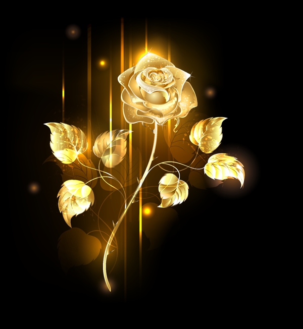 黄金玫瑰花