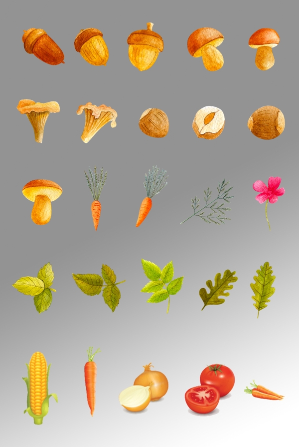 一组水彩写实蔬菜插画