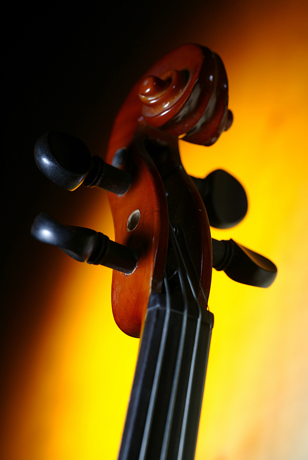 小提琴头图片