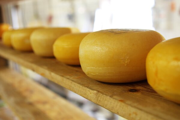 椭圆形奶酪