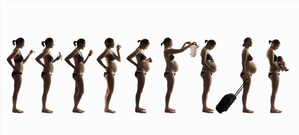 怀孕过程图片