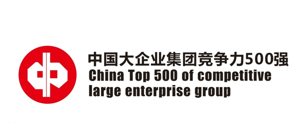 中国企业集团竞争力500强图片