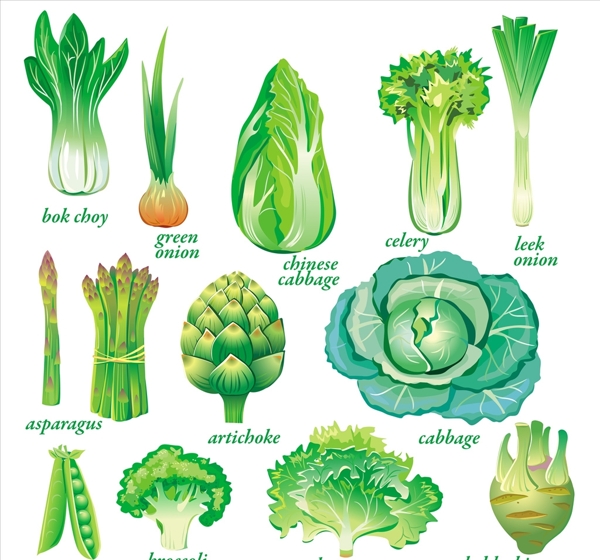 矢量手绘蔬菜