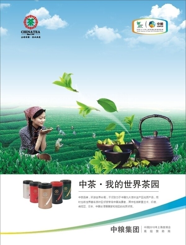 中茶广告图片