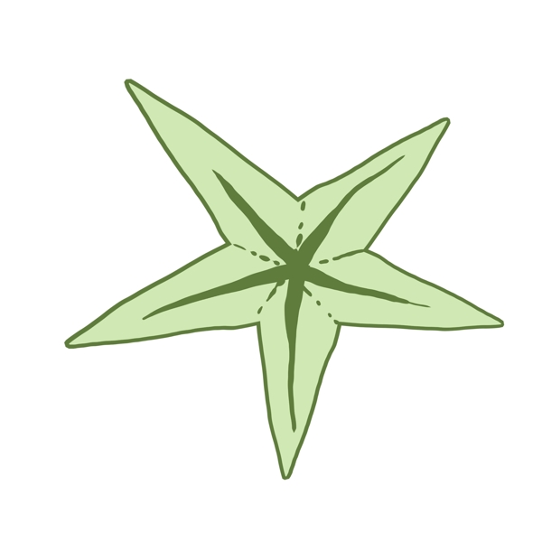 浅绿色海星
