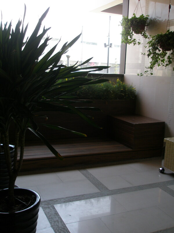 阳台绿色植物效果图图片
