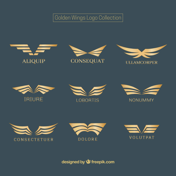 优雅的金色双翼翅膀标志logo