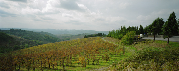 乡村自然风景图片