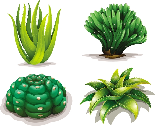 绿色植物插画