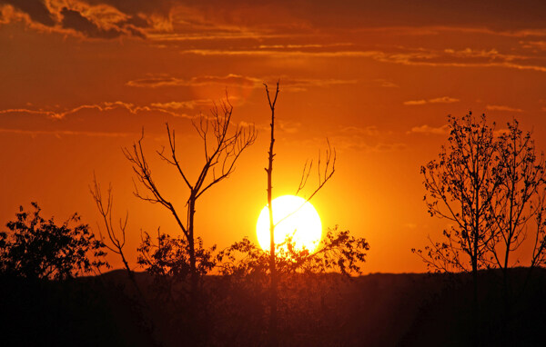 大漠落日圆图片