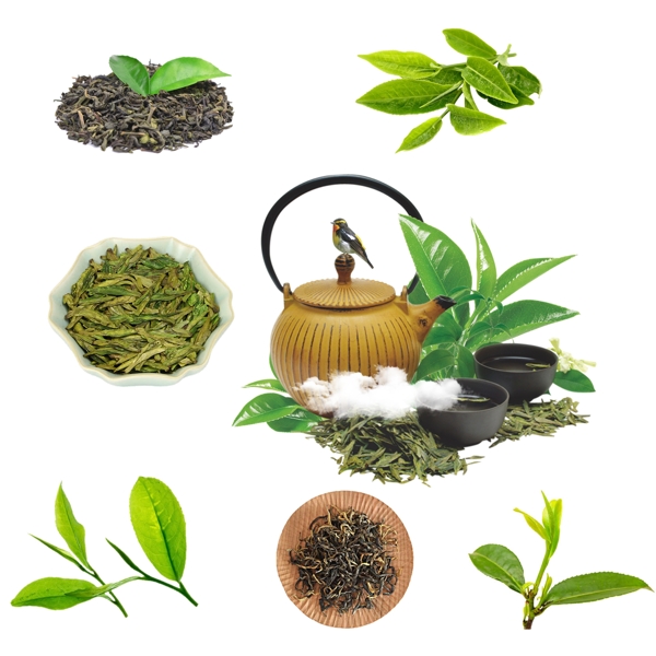 茶叶茶文化茶叶素材图片