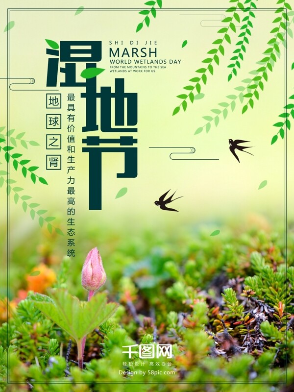 湿地节柳枝燕子花朵绿色环保小清新节日海报
