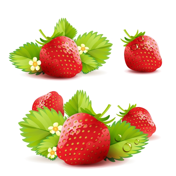 草莓主题背景矢量