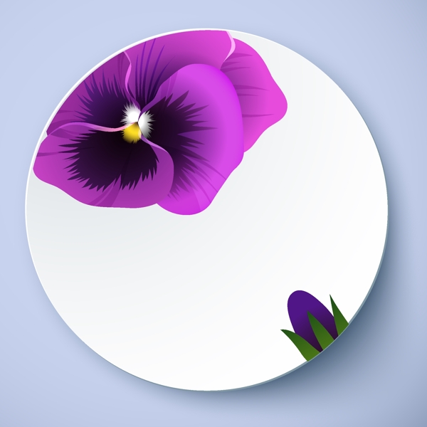 盘子花卉图案