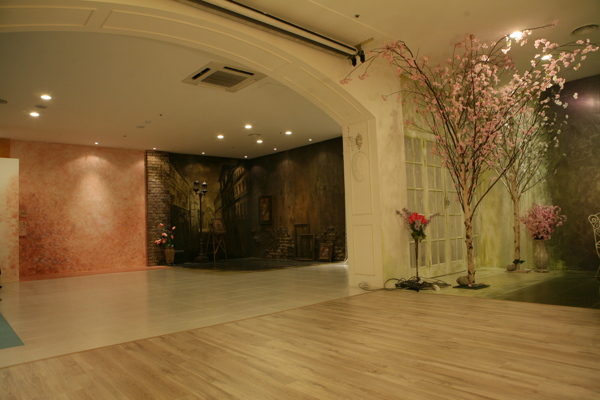 室内植物装饰摆设影楼摄影背景图片