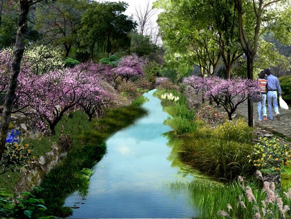 溪流樱花景观效果图图片