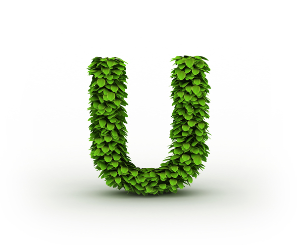 绿叶立体字母U图片