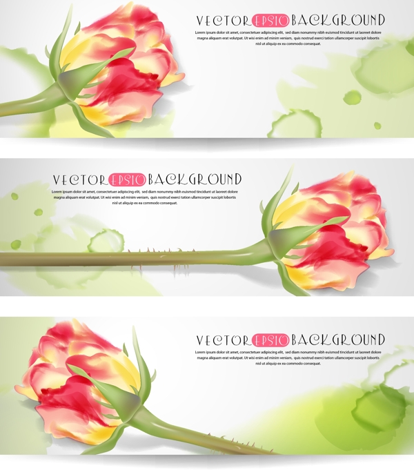 花朵花卉设计海报设计矢量素材