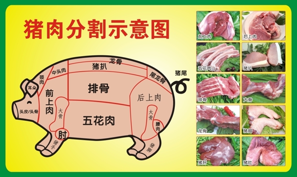 猪肉分割图