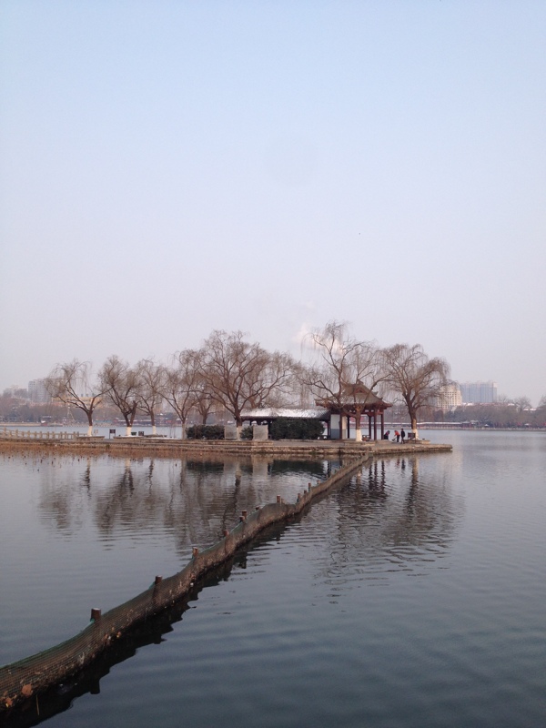 小雪初晨游大明湖图片