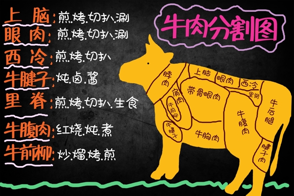 牛肉分割图