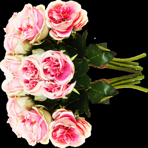 五朵粉色玫瑰花素材图片