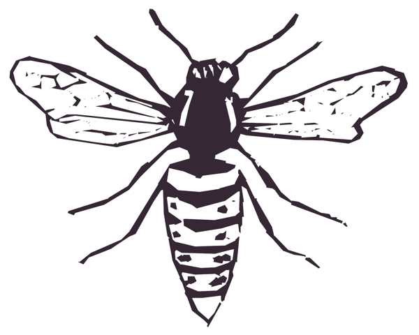 甲虫昆虫矢量素材EPS格式0363
