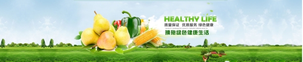 绿色健康蔬菜海报