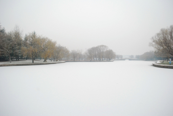 冬雪图片