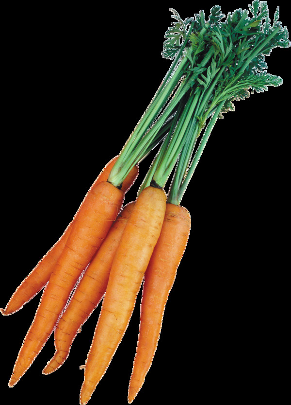 蔬菜维生素新鲜胡萝卜素材合集